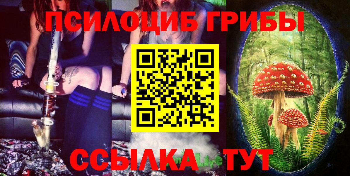 Псилоцибиновые грибы Psilocybe Знаменск